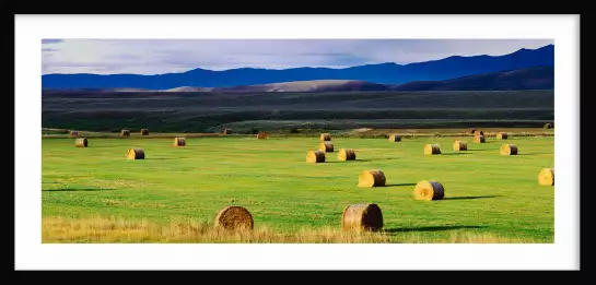 Champs du colorado - tableau nature