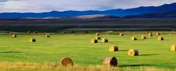 Champs du colorado - tableau nature