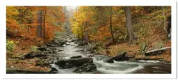 Kitchen Creek - paysages d'automne