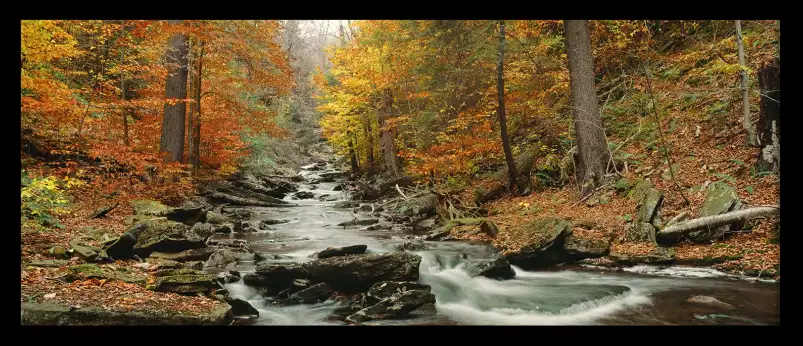 Kitchen Creek - paysages d'automne