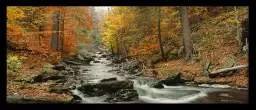 Kitchen Creek - paysages d'automne