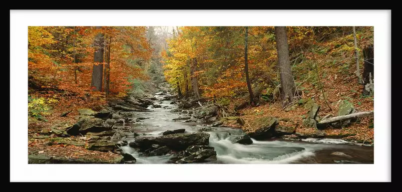 Kitchen Creek - paysages d'automne