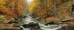 Kitchen Creek - paysages d'automne