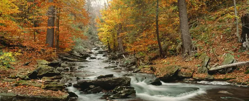 Kitchen Creek - paysages d'automne