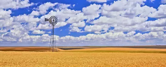 Champ de blé à Othello - paysages été