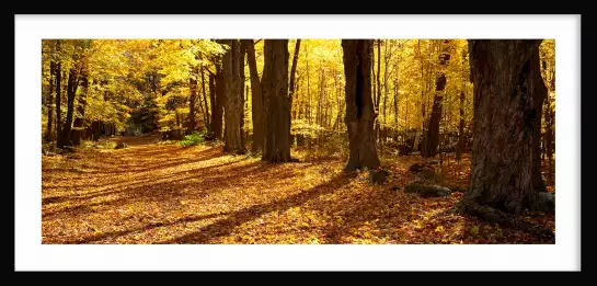 Massachusett - paysages d'automne