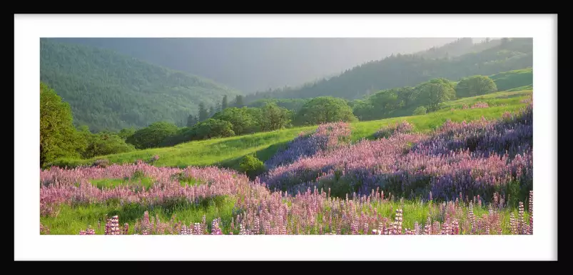 Printemps dans le Yellowstone - tableau paysage nature