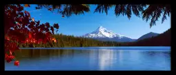 Mont Hood en Oregon - paysage montagne