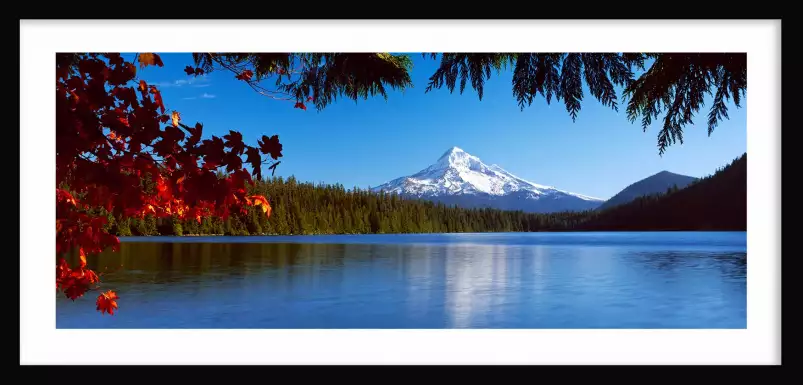 Mont Hood en Oregon - paysage montagne