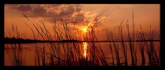 Lac Travis Austin au Texas - tableau paysage nature