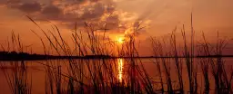 Lac Travis Austin au Texas - tableau paysage nature