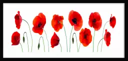 Gentils coquelicots - tableau coquelicot