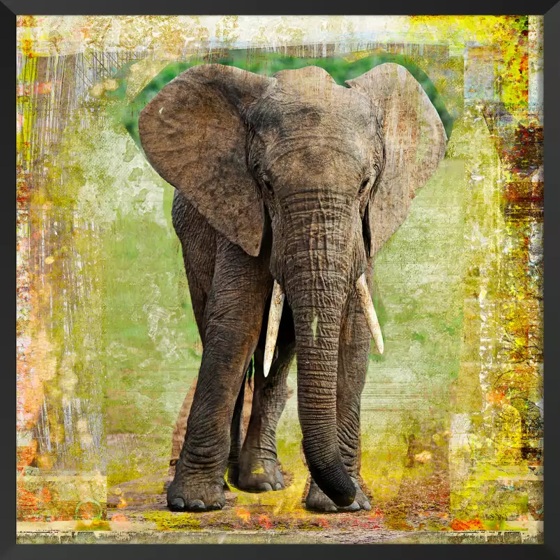 Elephant - poster animaux