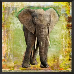 Elephant - poster animaux