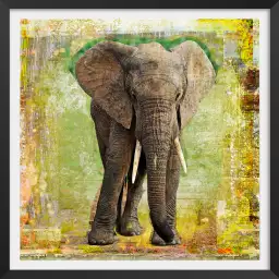 Elephant - poster animaux