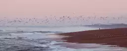 Photo Plage Anglet - tableau océan