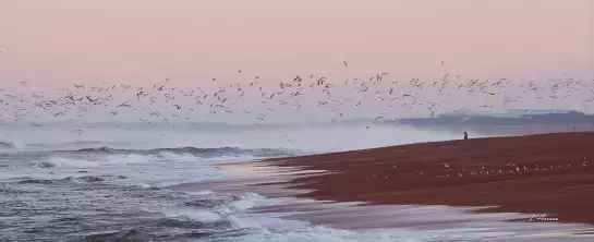 Photo Plage Anglet - tableau océan