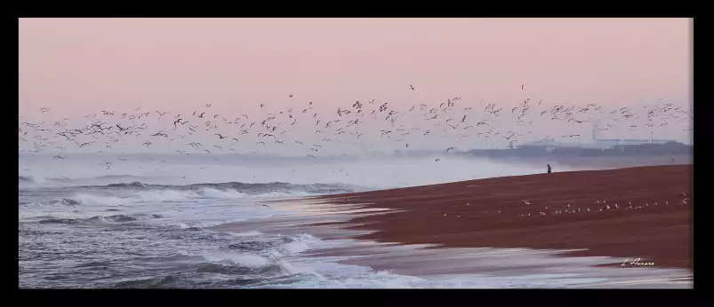 Photo Plage Anglet - tableau océan