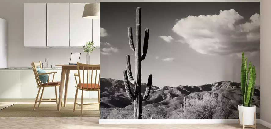 Saguaro Arizona - papier peint plante