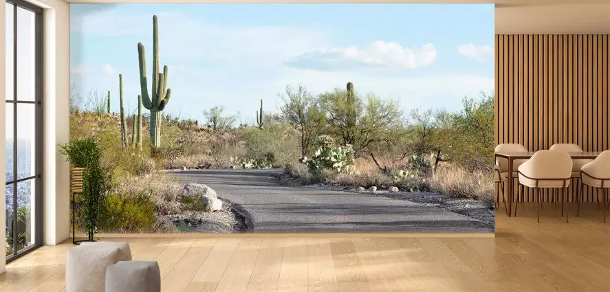 Cactus road - papier peint paysages