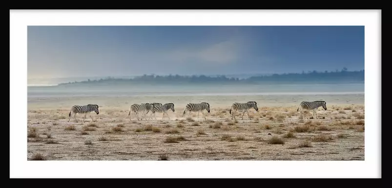 Zebres Tanzanie - Tableau animaux