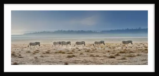 Zebres Tanzanie - Tableau animaux