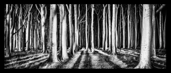 Forêt fantome - tableau paysage