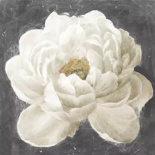 Vivid Fleur Blanche - papier peint fleur geante