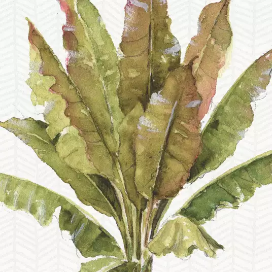Aromate - papier peint plante