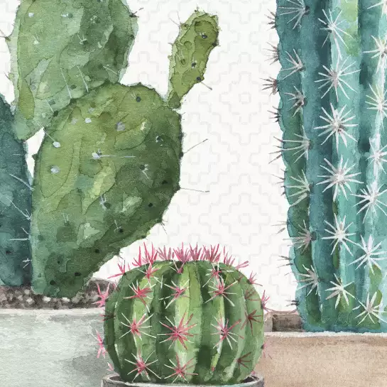 Menthe cactus - papier peint plante