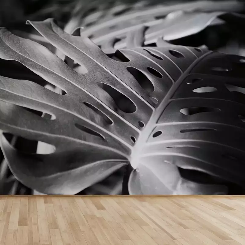 Philodendron - papier peint feuille