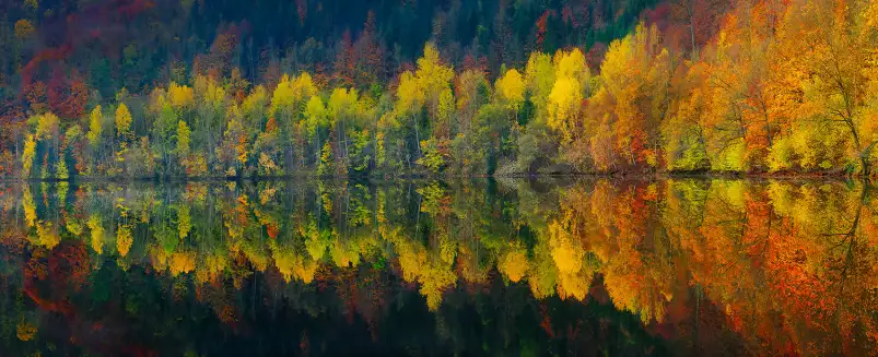 Lac et forêt - Tableau paysage