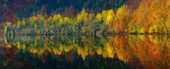 Lac et forêt - Tableau paysage