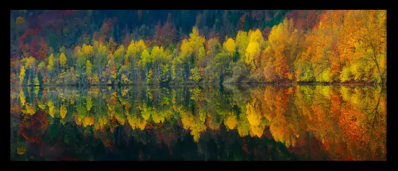 Lac et forêt - Tableau paysage