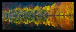 Lac et forêt - Tableau paysage