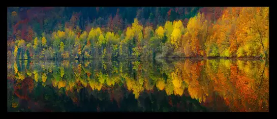 Lac et forêt - Tableau paysage