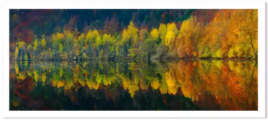 Lac et forêt - Tableau paysage