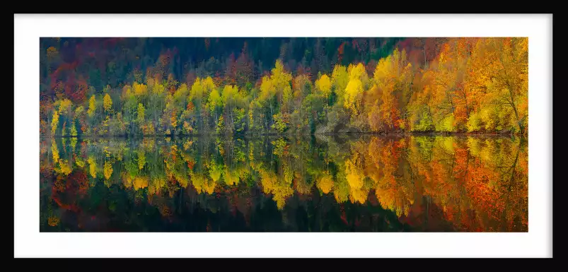 Lac et forêt - Tableau paysage