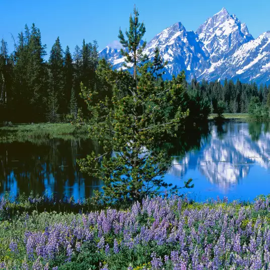 Wyoming - papier peint panoramique montagne