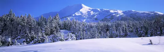 Péninsule de Kenai en Alaska - papier peint panoramique montagne