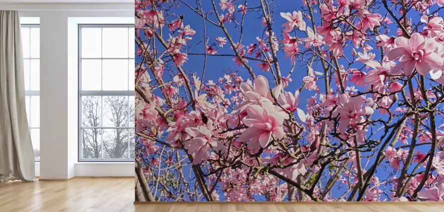 Magnolias - decor mural paysage