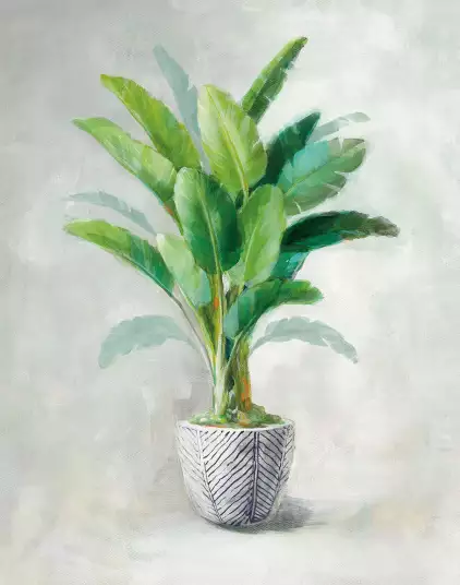 Greenhouse Navy Pot Crop - papier peint plante