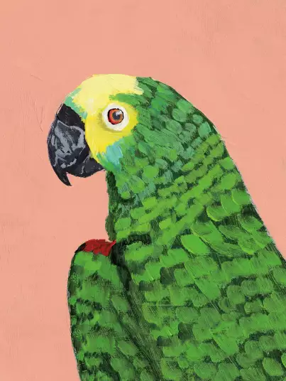 Tête de perroquet - papier peint oiseaux tropicaux