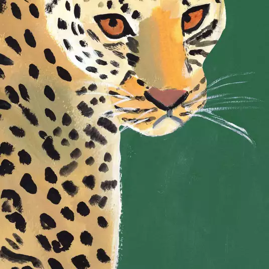 Guépard coloré sur émeraude - papier peint animaux jungle
