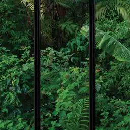 Fenêtre sur les tropiques - tapisserie panoramique