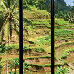 Fenêtre sur rizière - tapisserie panoramique