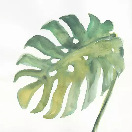 Palmier tropical - papier peint panoramique plante