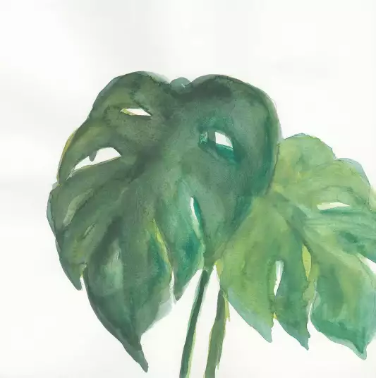 Palmier tropical II - papier peint plante