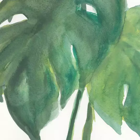 Palmier tropical II - papier peint plante