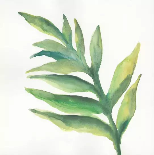 Palmier tropical I - papier peint plante